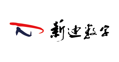 上海新迪数字技术有限公司
